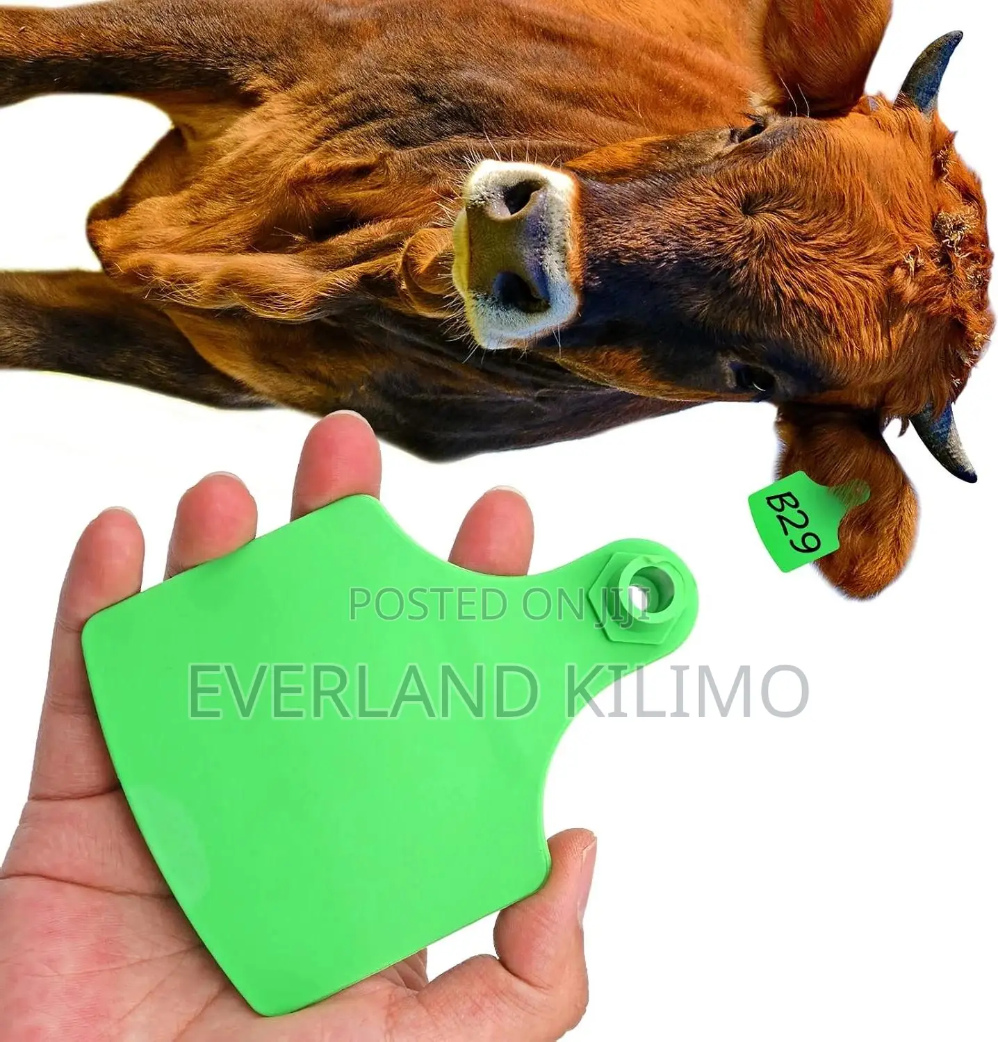 Farm, Code Large Ear Tag - Customized