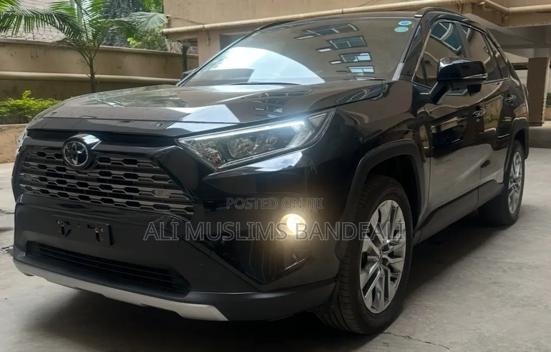 Toyota RAV4 LE AWD 2019 Black