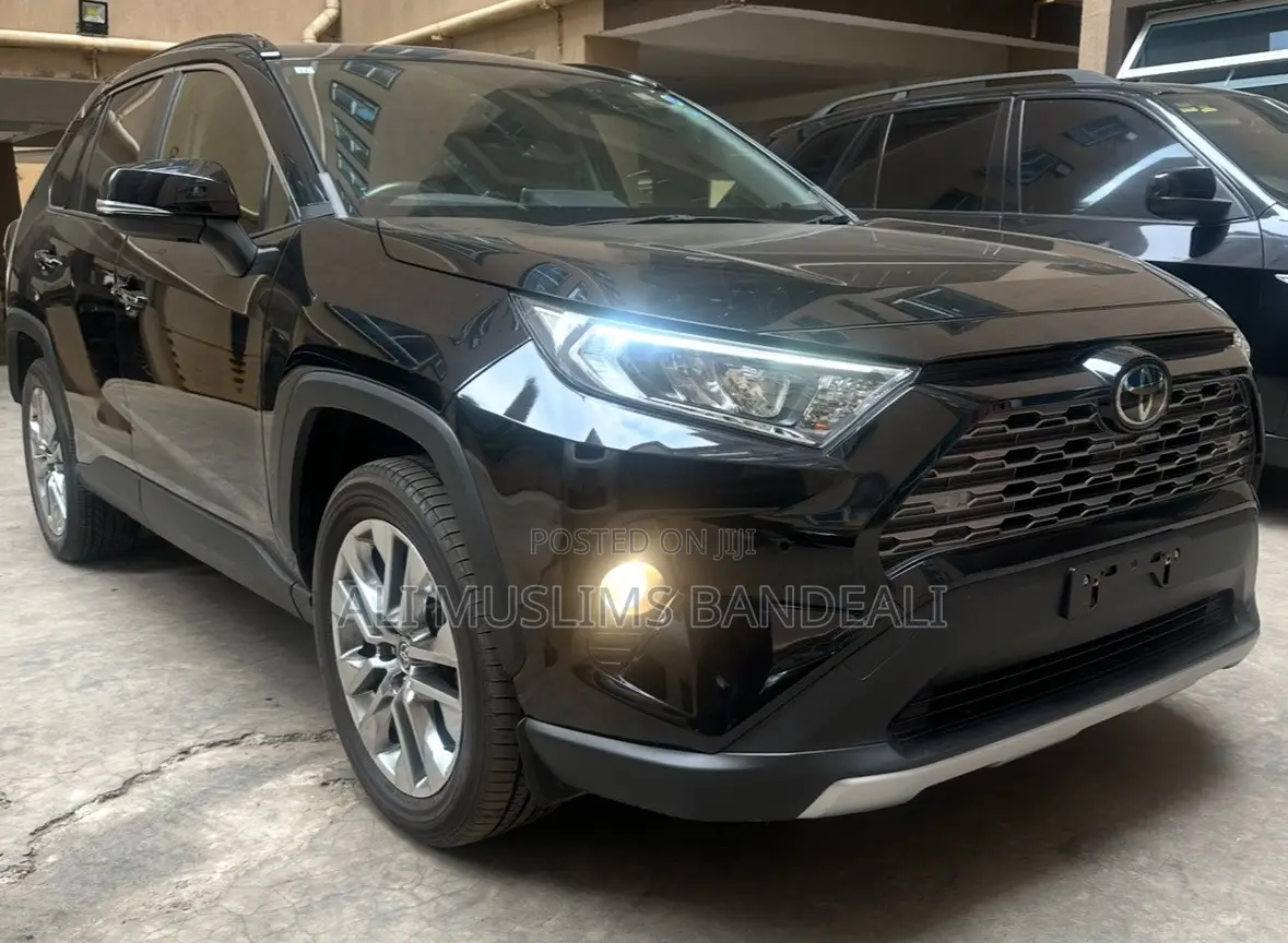 Toyota RAV4 LE AWD 2019 Black