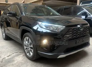 Toyota RAV4 LE AWD 2019 Black