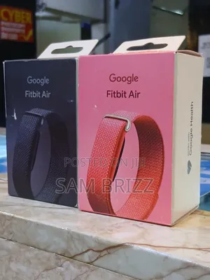 Google Fitbit Air