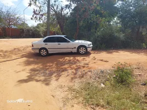 BMW 316i 1995 White