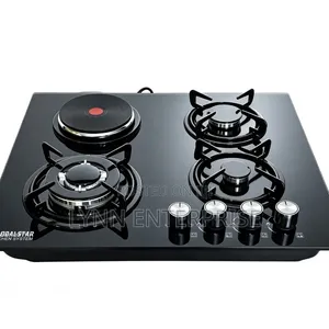 Globalstar GS-4G29
Gas Stove (3+1)gas Hood