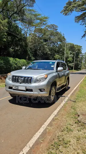 Toyota Land Cruiser Prado 3.0 D-4D 5dr 2009 Silver
