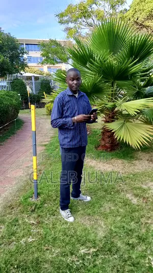 Seeking Job
