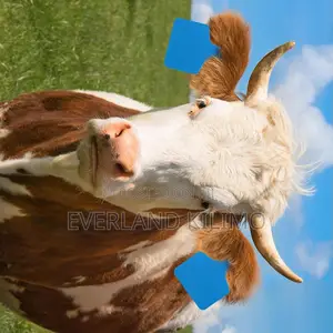 Growth Monitoring Medium Ear Tag for Cattles