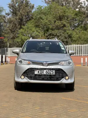 Toyota Corolla Fielder 2017 Silver