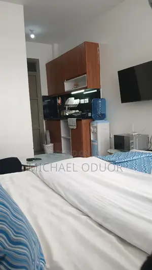 Furnished Studio Apartment in Lumumba Drive, Roysambu for rent