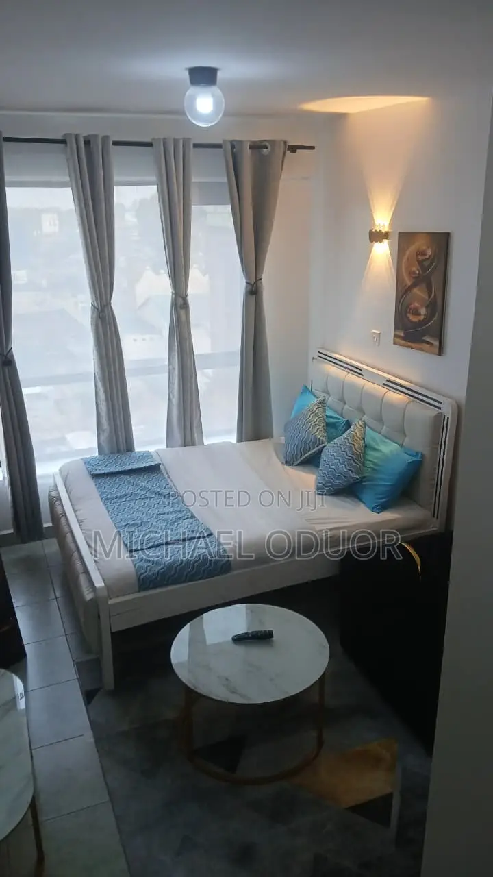 Furnished Studio Apartment in Lumumba Drive, Roysambu for rent