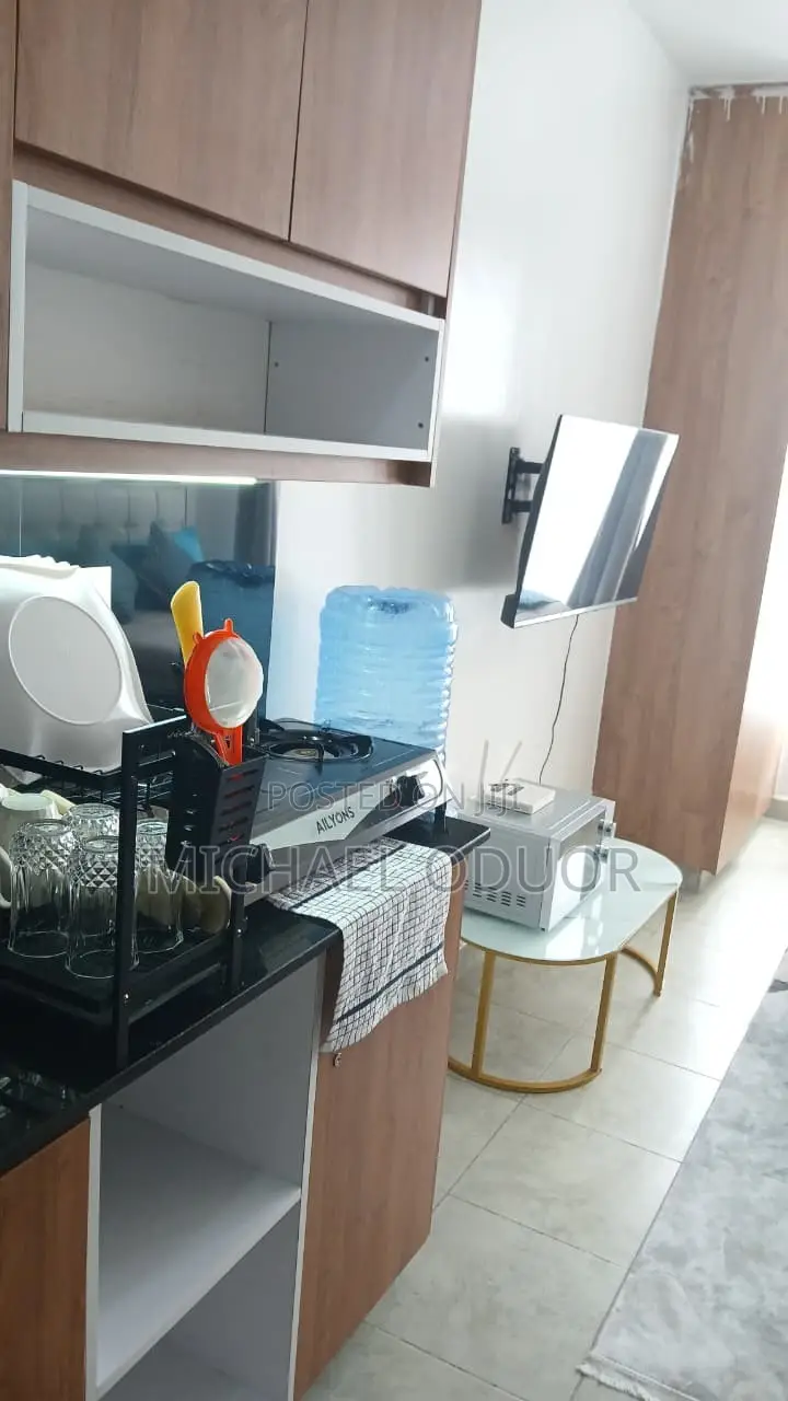 Furnished Studio Apartment in Lumumba Drive, Roysambu for rent