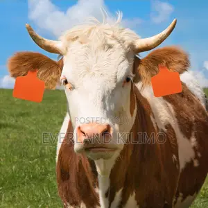 Farm Security Medium Ear Tag