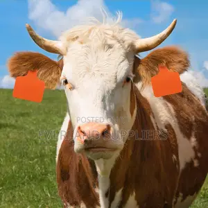 Farm Security Medium Ear Tag