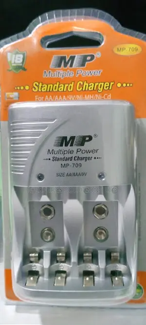 Multiple Power Standard Charger for AA AAA 9V NiMH Batteries