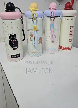 750ML Insulated Stainless Steel Water Bottle - Hk