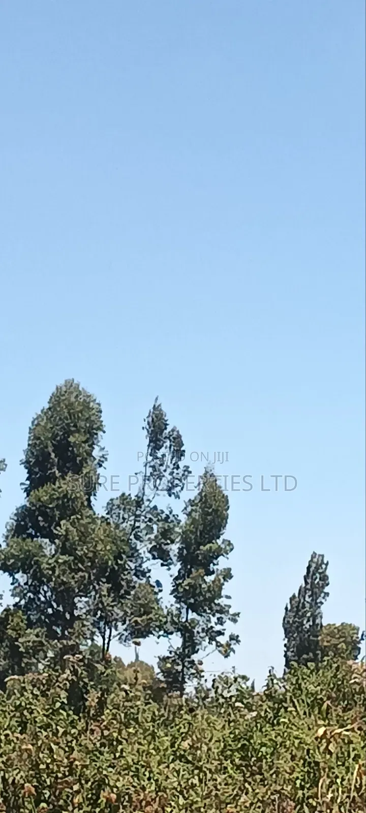 1⁄2 Acre in KIKUYU Kamangu