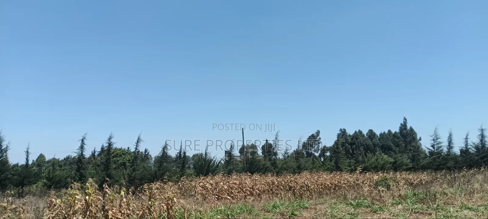 1⁄2 Acre in KIKUYU Kamangu