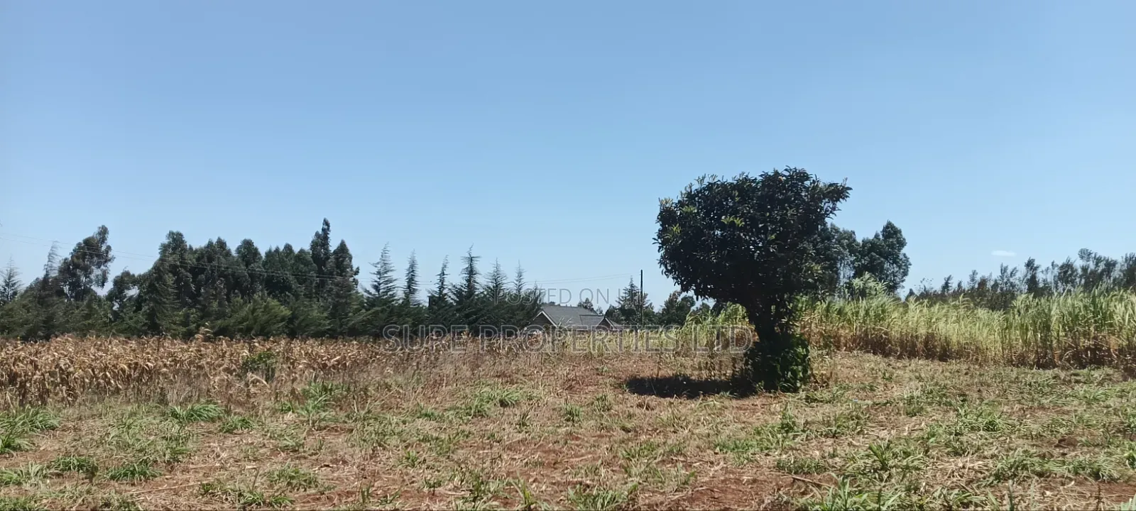 1⁄2 Acre in KIKUYU Kamangu