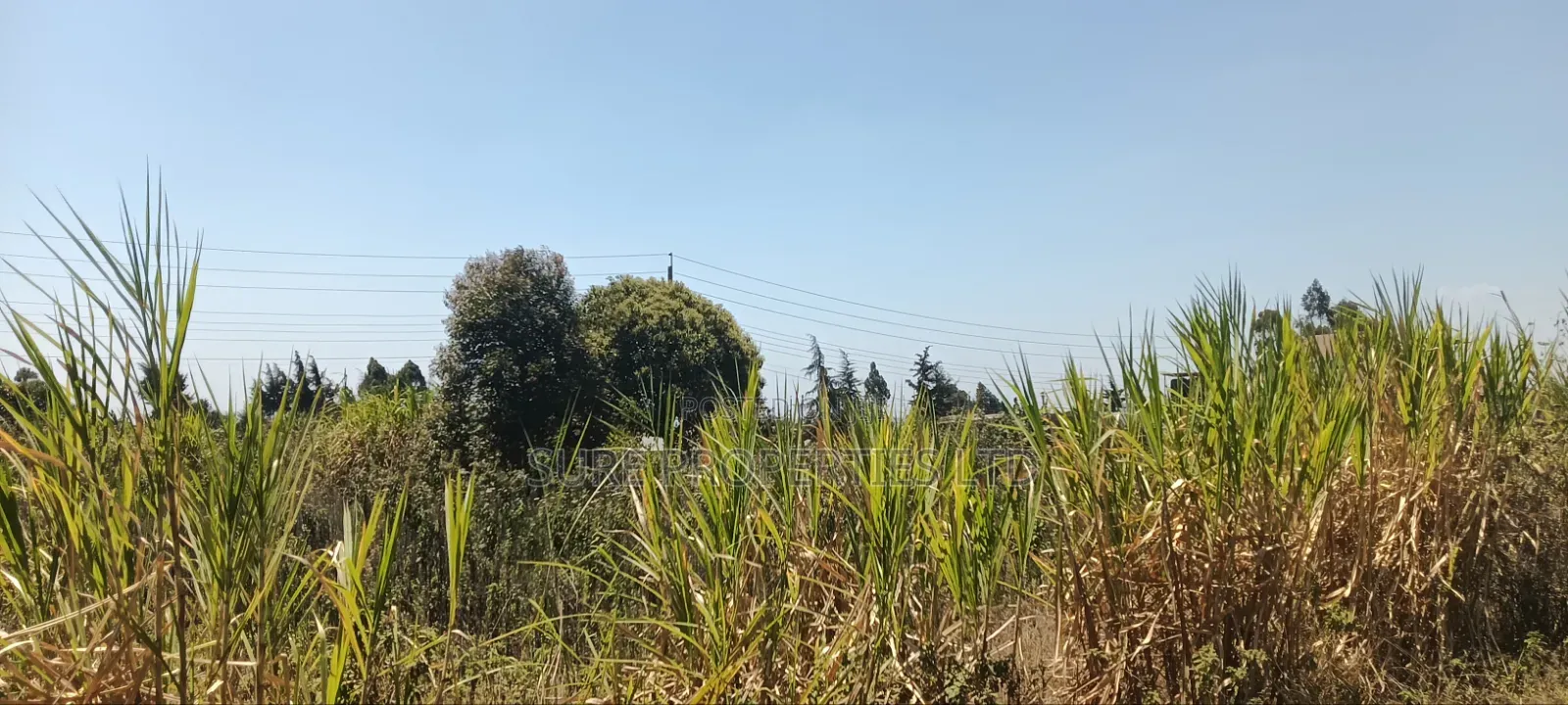 1⁄2 Acre in KIKUYU Kamangu