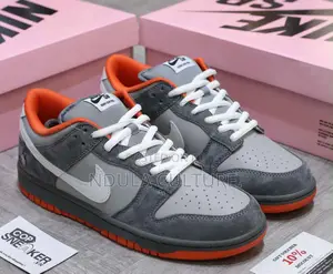Nike Sb Dunk Nyc Pigeon