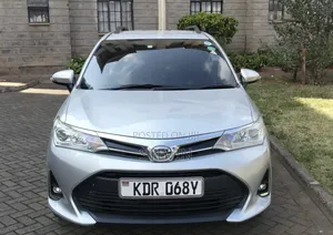 Toyota Corolla Fielder 2018 Silver