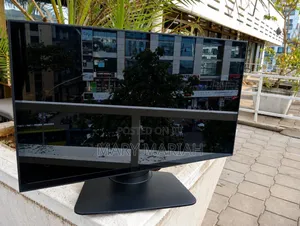 Display Monitor
