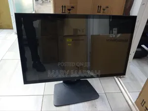 Display Monitor