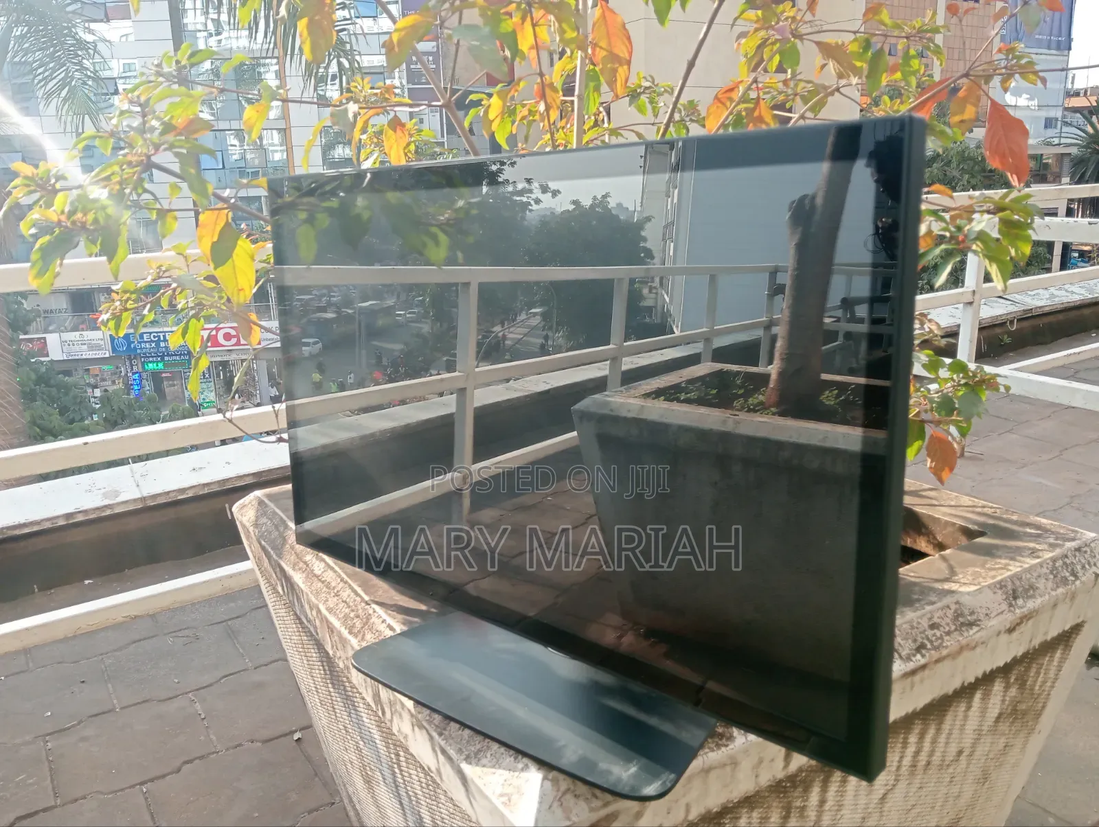 Display Monitor
