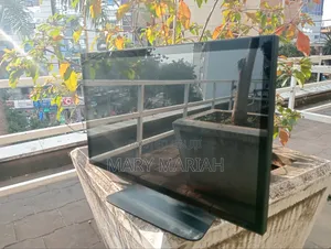 Display Monitor