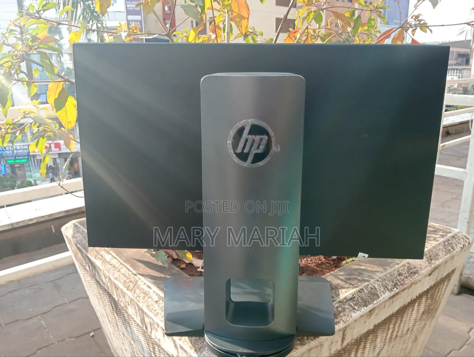 Display Monitor