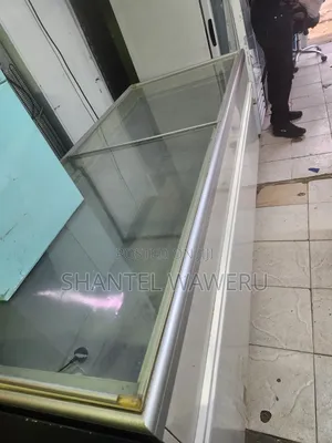 A Commercial Display Freezer