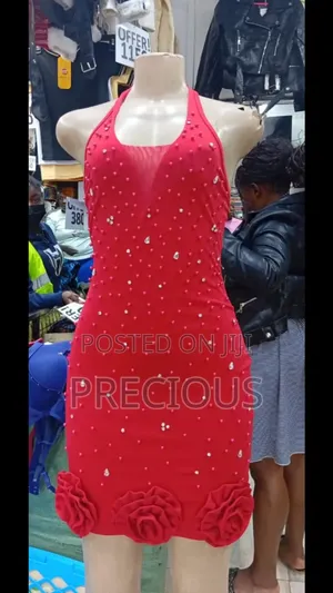 Bodycon Party Dress