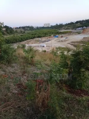 30ft by 50ft Plot for Sale (Mother Tittle Available)