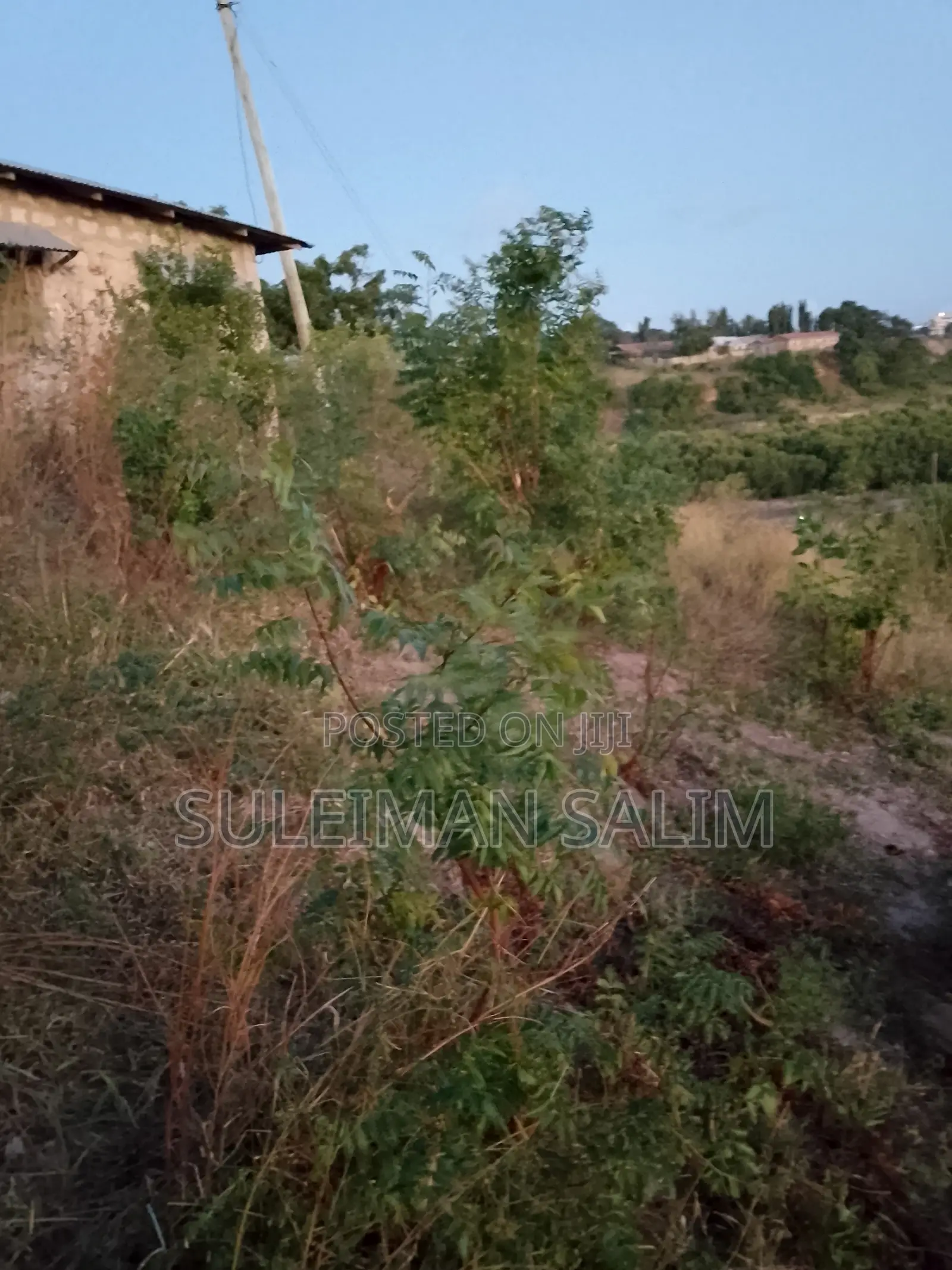 30ft by 50ft Plot for Sale (Mother Tittle Available)