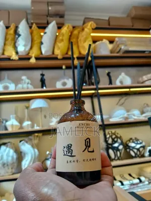 New In! Longfine/Langfen 100ml Aromatherapy Diffuser - Pl