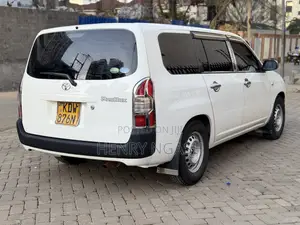 Toyota Probox 2020 Pearl
