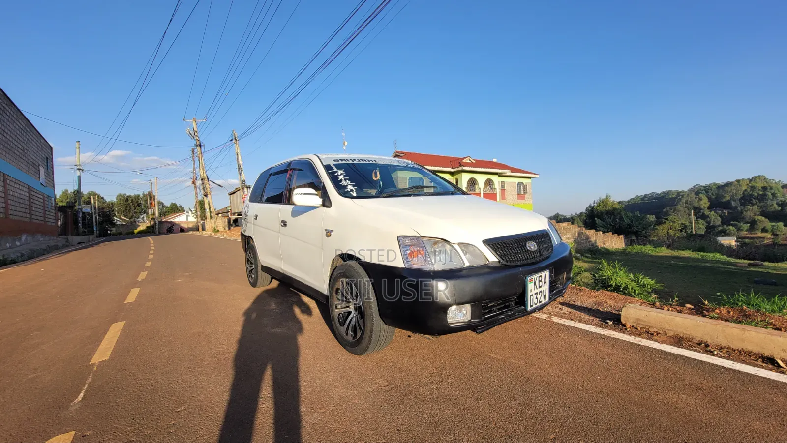 Toyota Gaia 2010 White