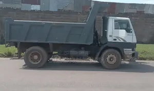 Tata Tipper Miguu Sita 2015 White