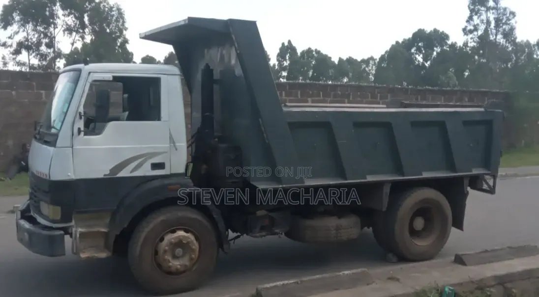 Tata Tipper Miguu Sita 2015 White