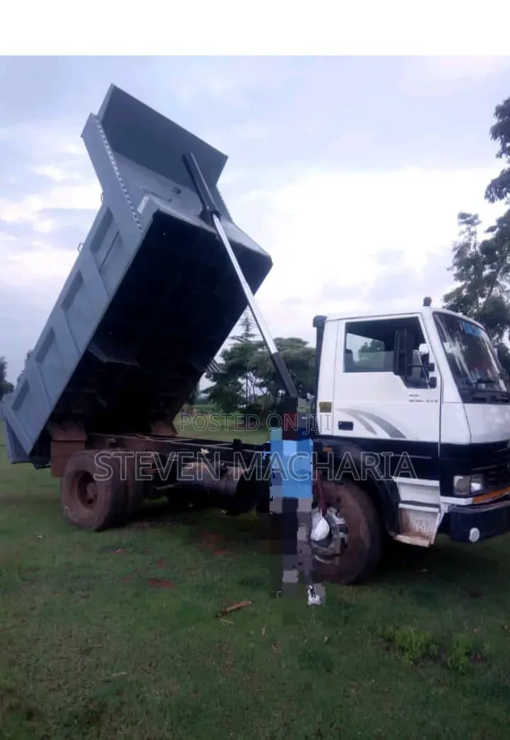 Tata Tipper Miguu Sita 2015 White