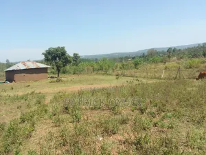 1/4 Acre at Seme Kitmikayi for Sale