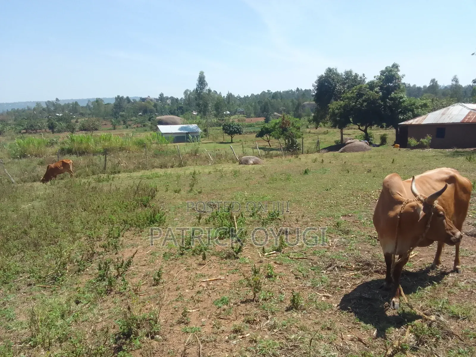 1/4 Acre at Seme Kitmikayi for Sale