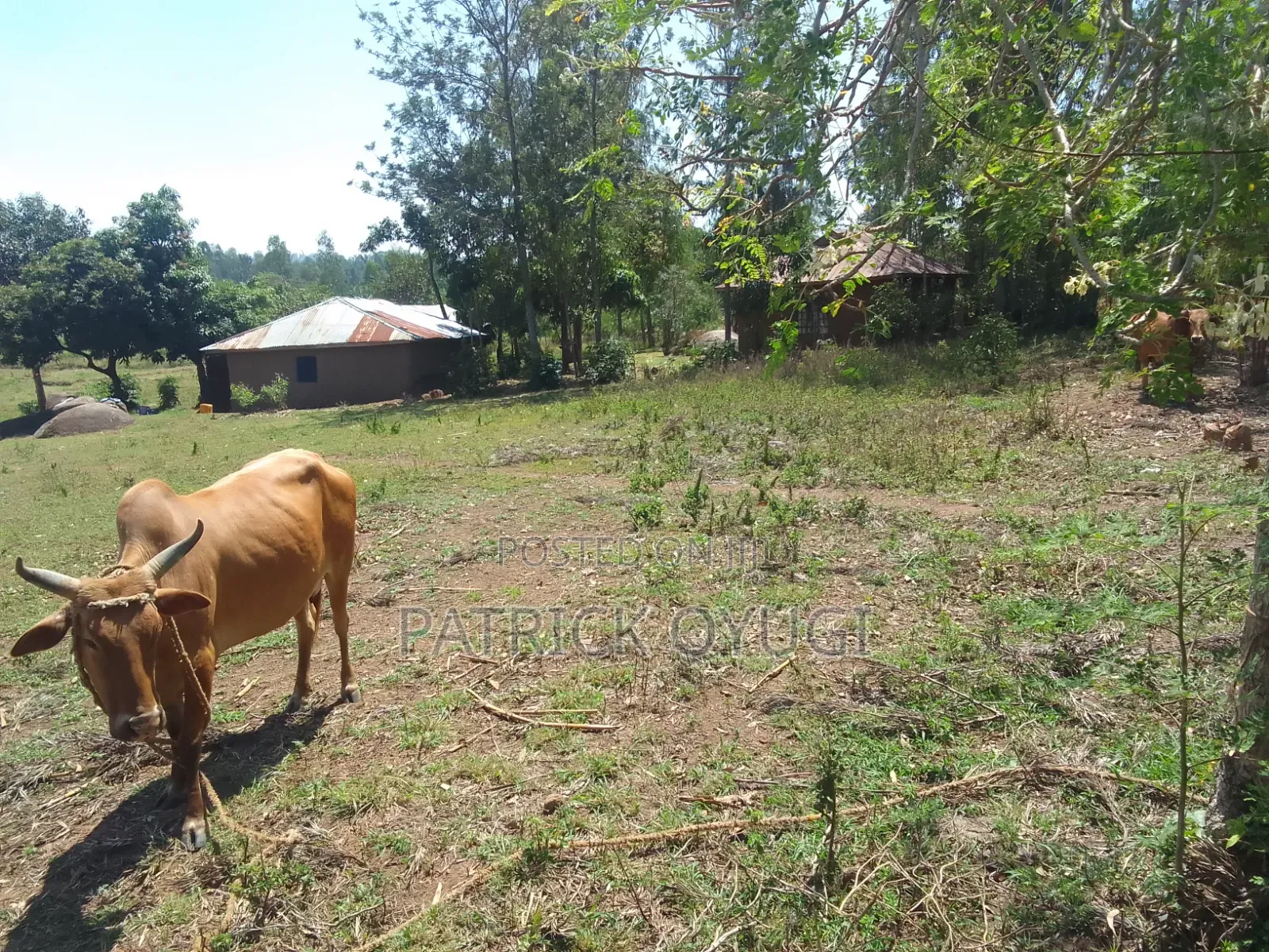 1/4 Acre at Seme Kitmikayi for Sale