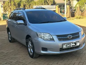 Toyota Corolla Fielder 2008 Silver