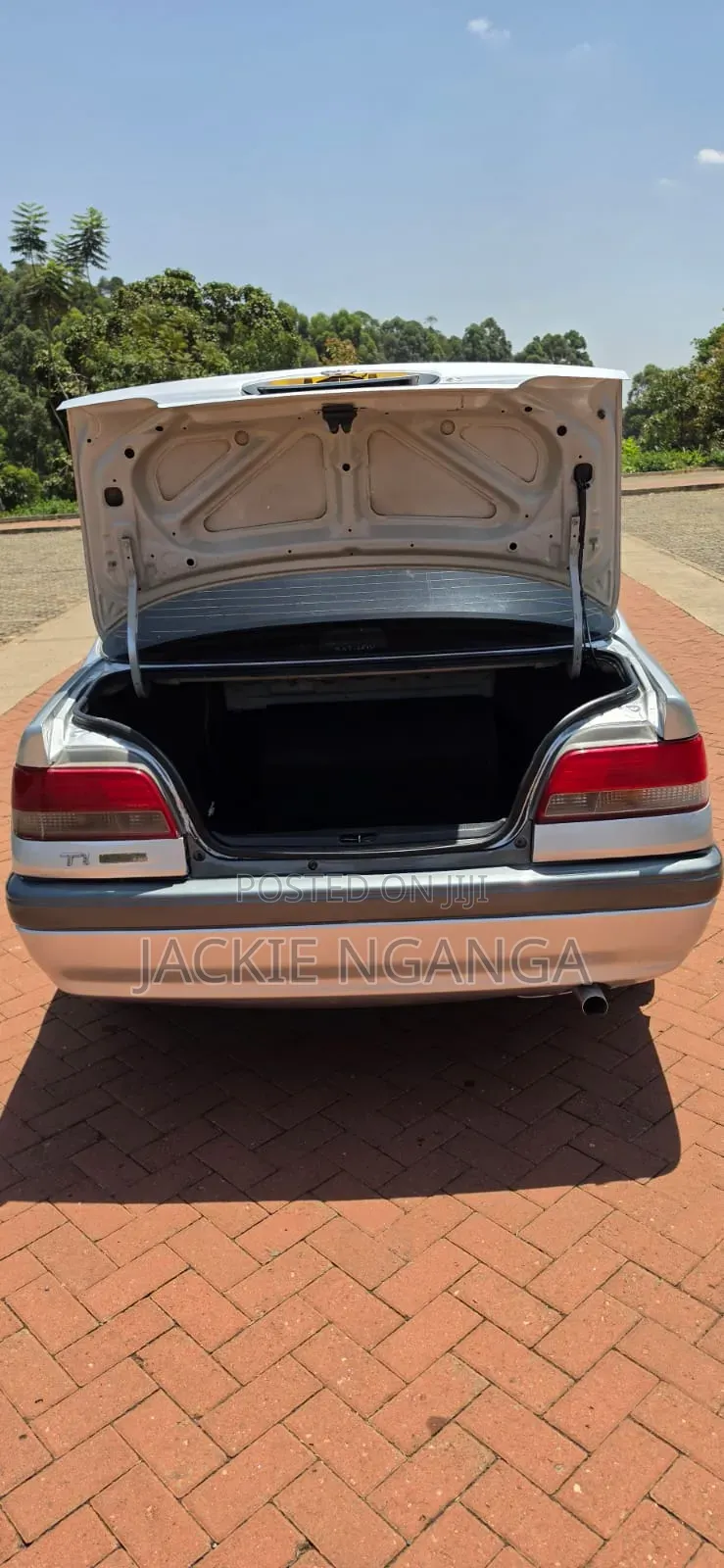 Toyota Carina 1994 Silver