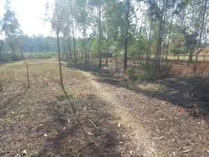 1/2 Cre for Sale at Kisumu Kadongo Near Holo Market