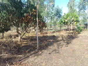 1/2 Cre for Sale at Kisumu Kadongo Near Holo Market