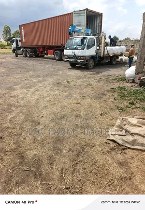 Corn Silage