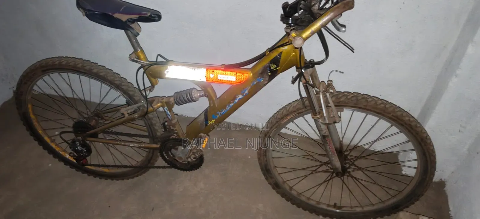 Mountain Bike