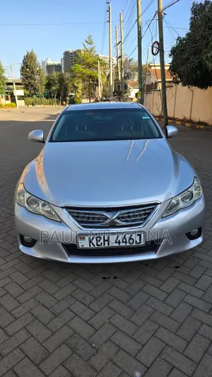 Toyota Mark X 2009 Silver