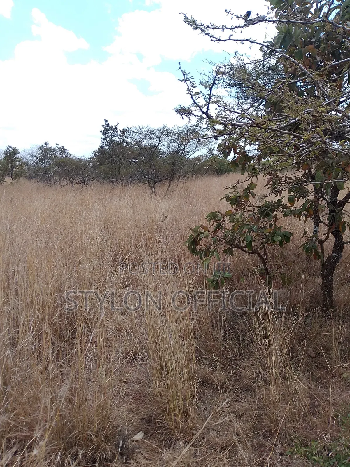 10 Acres Land for Sale in Kaptei, Kajiado – KSh 600,000